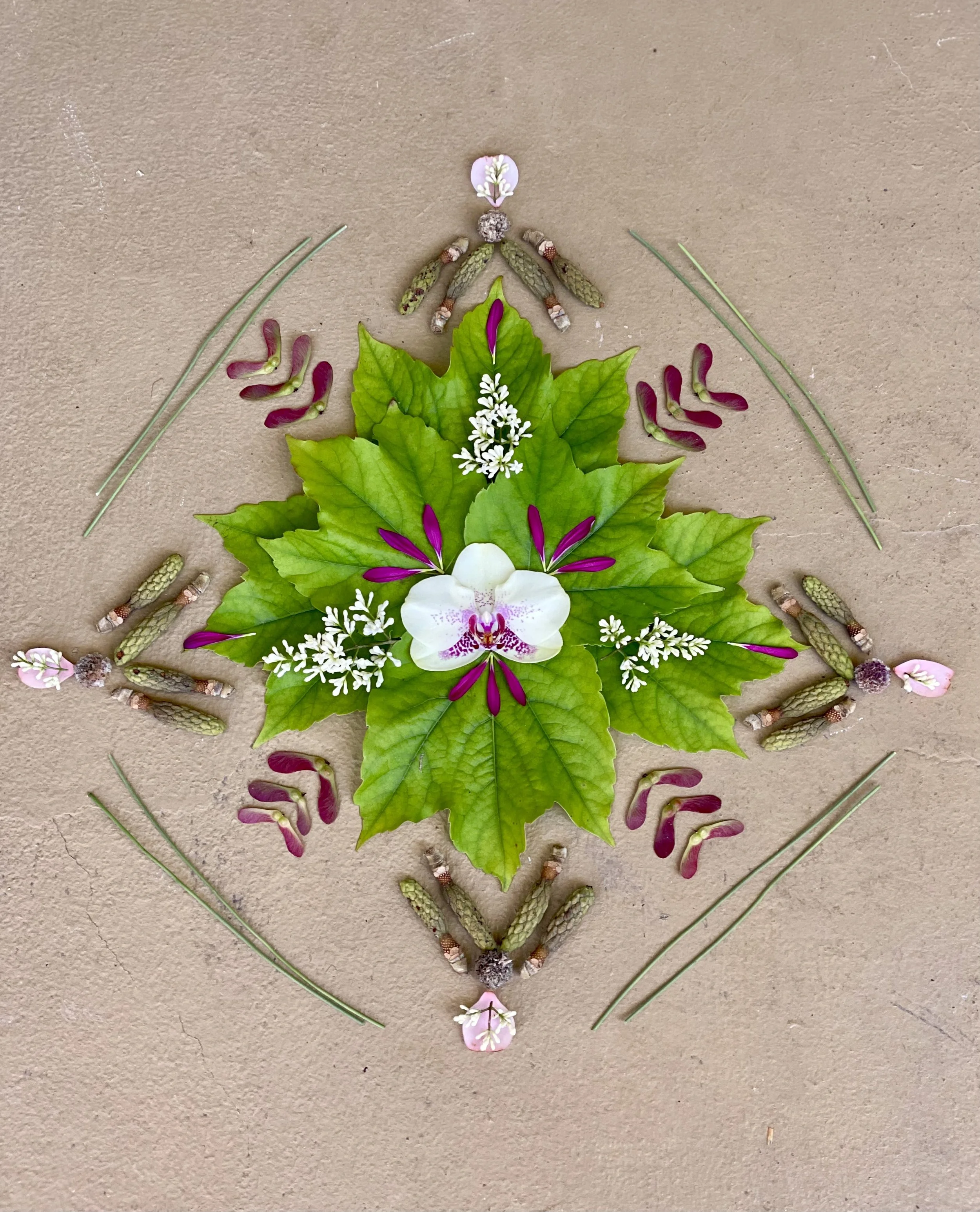 Crossing the Threshold  (May 2024)  A symbol of intentionally moving from a place of hyper-independence/'lone-wolf' mentality into a space of conscious collaborations with trusted community members and friends (symbolized with all the 2s, 3s, and 4
