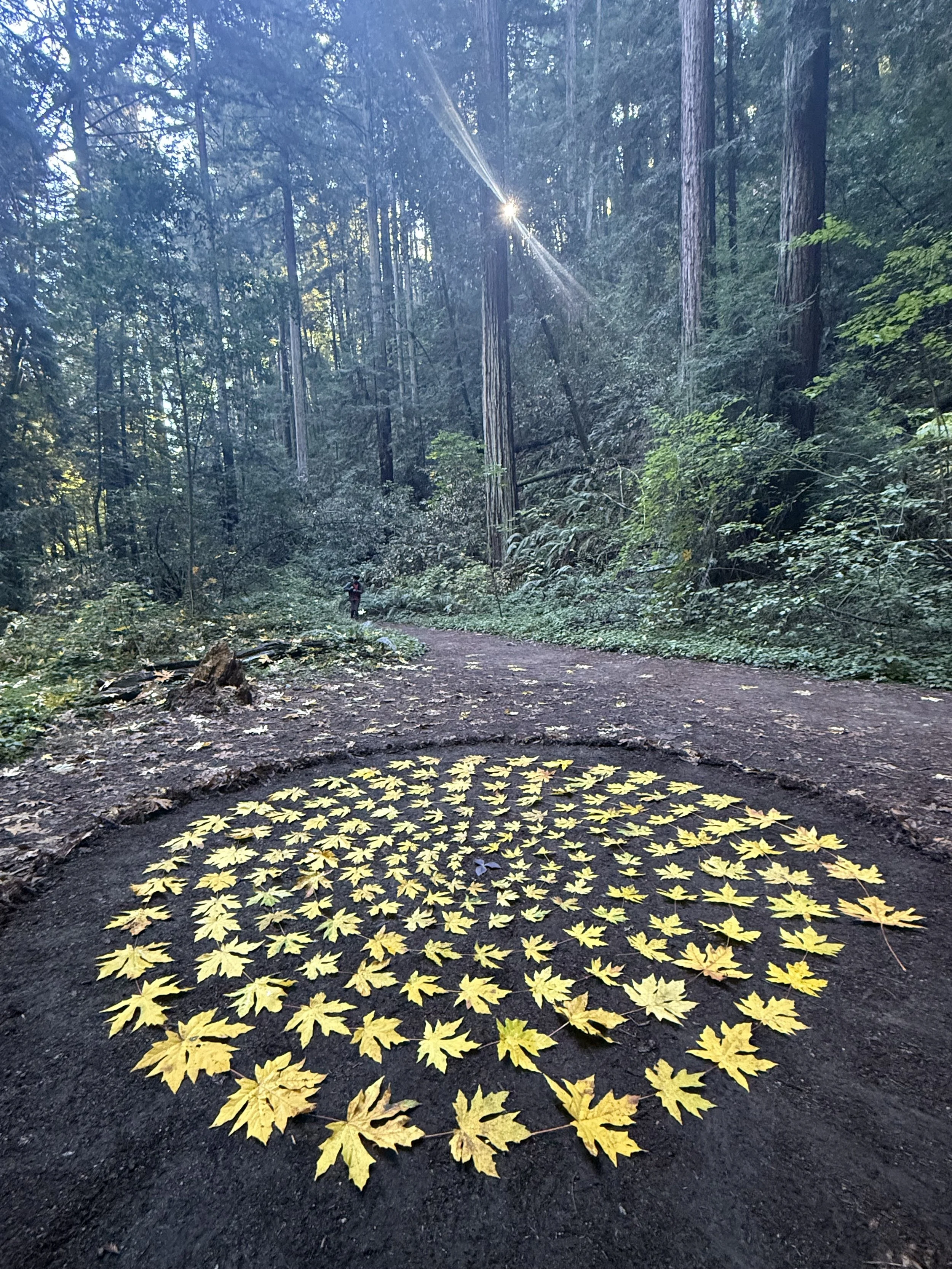  Created on my birthday to symbolize this specific intention and blessing: May every year of our lives continue to unfold and expand outwardly with beauty, grace, and love. 🍁✨ ( November 2025)  