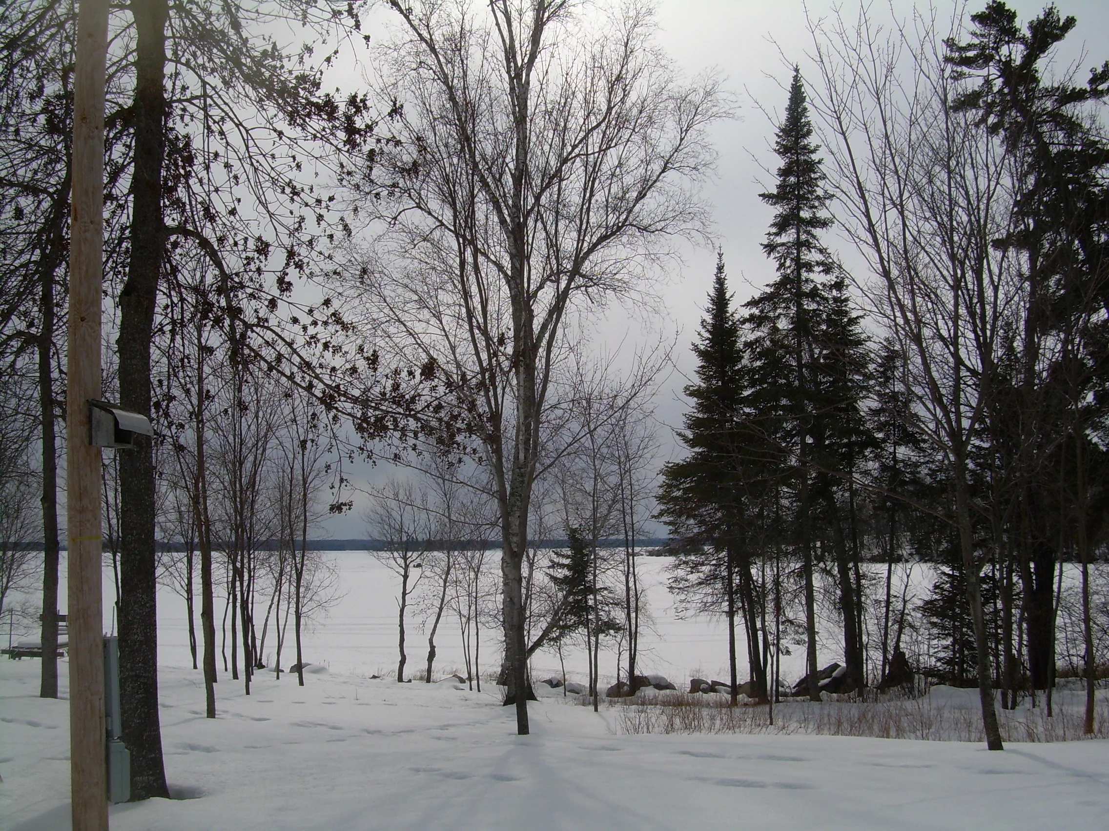 Pelican lake view fr cabin path in winter.JPG