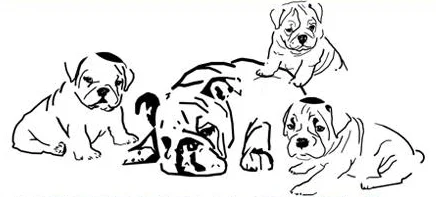 MishPups.jpg
