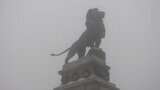 Lions In The Fog