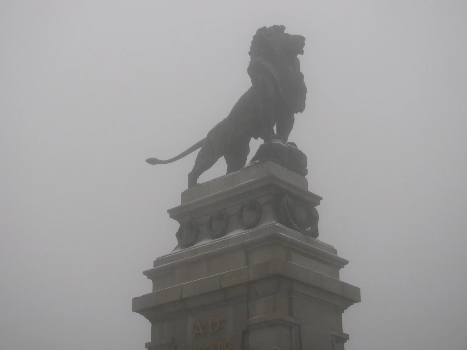 Lions In The Fog