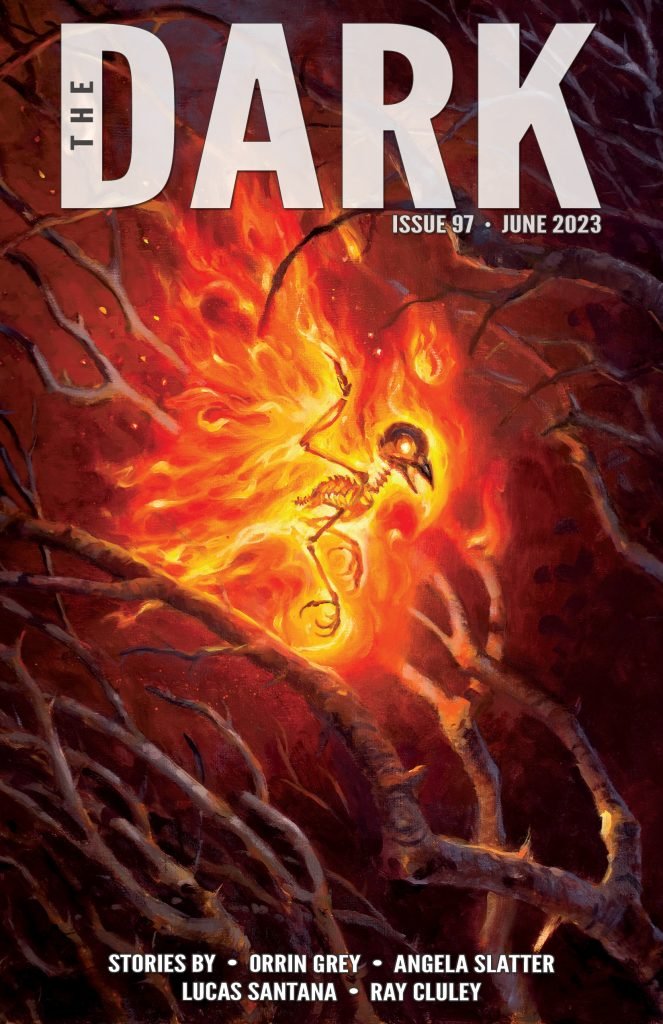 The-Dark-Issue-97-663x1024.jpg