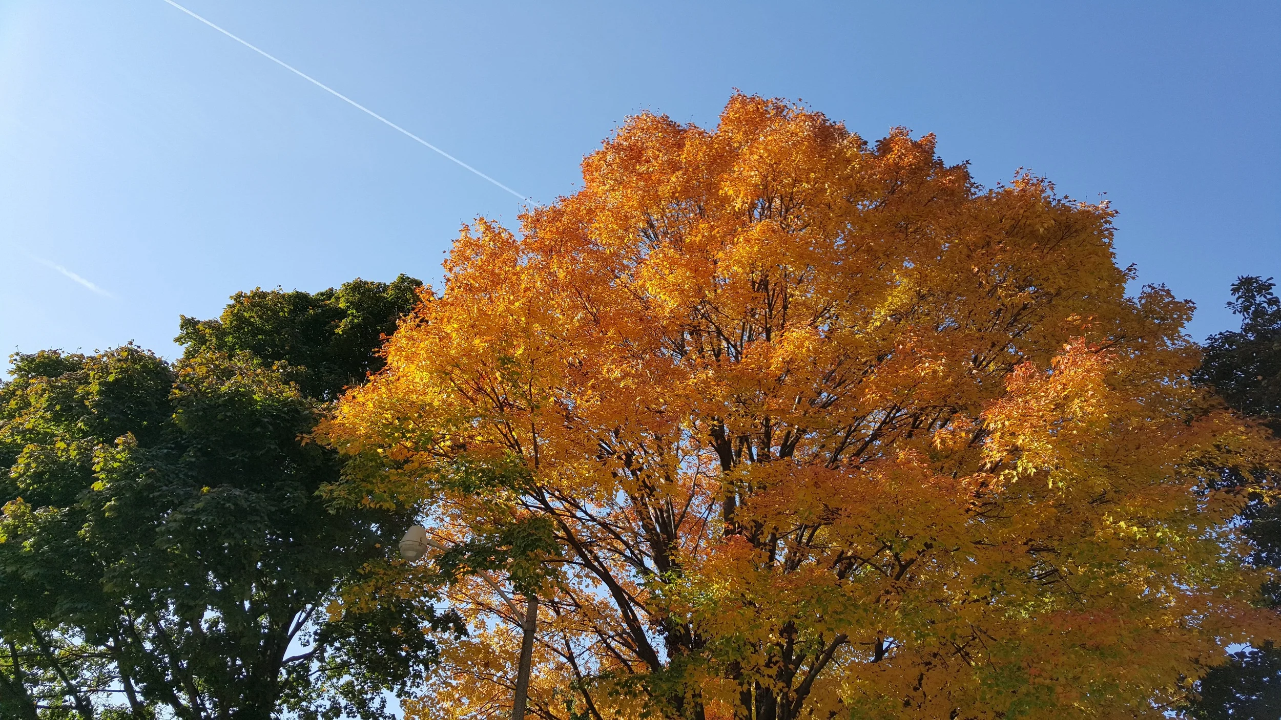 Now that I am home ...