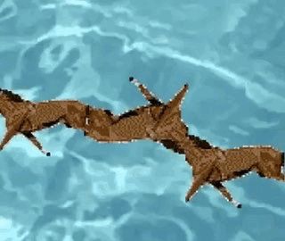 Eric Simmons horse gif.GIF