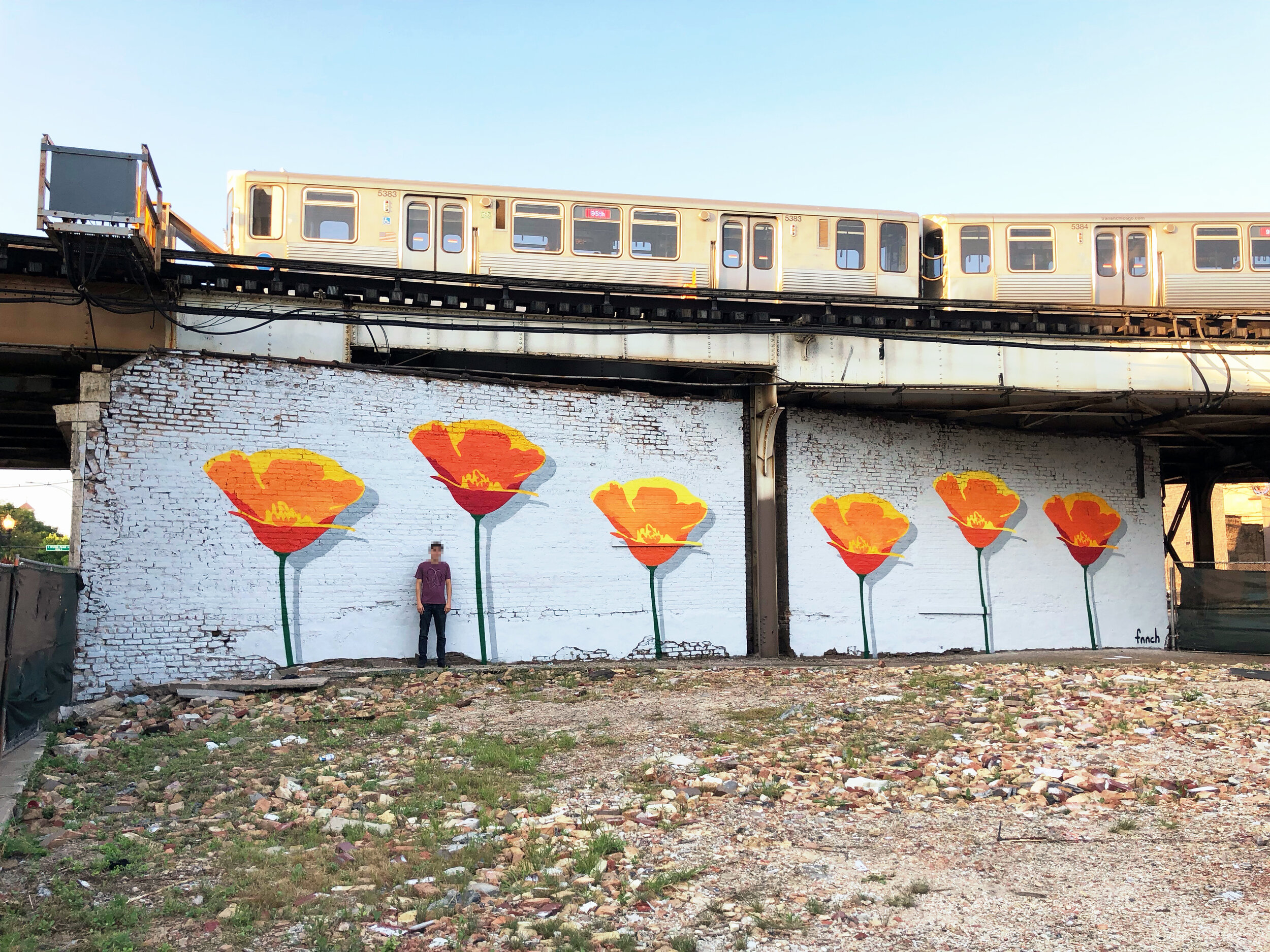 Chicago Poppies.jpeg