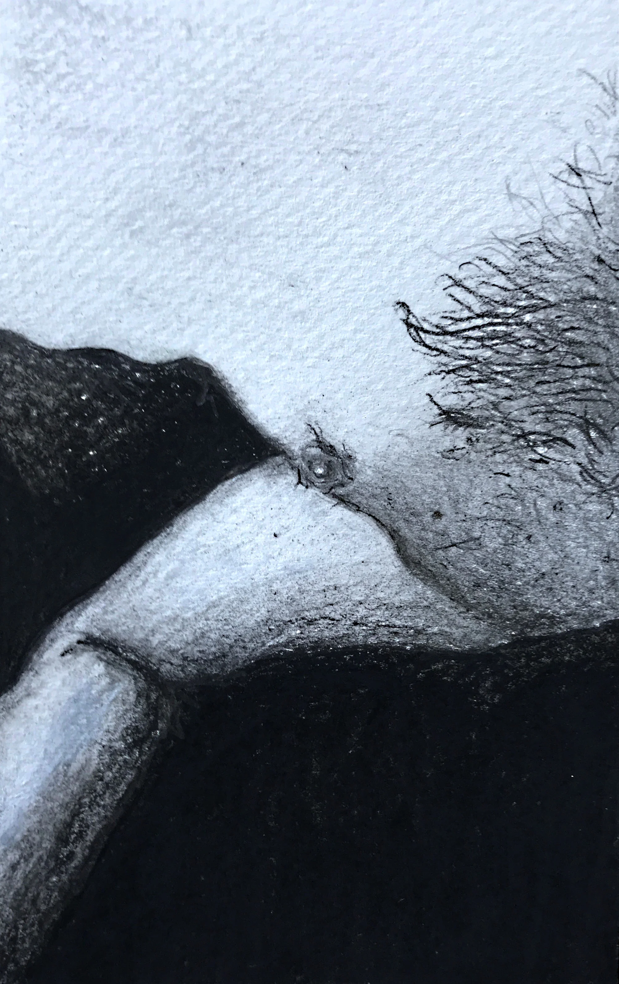 fulcrum