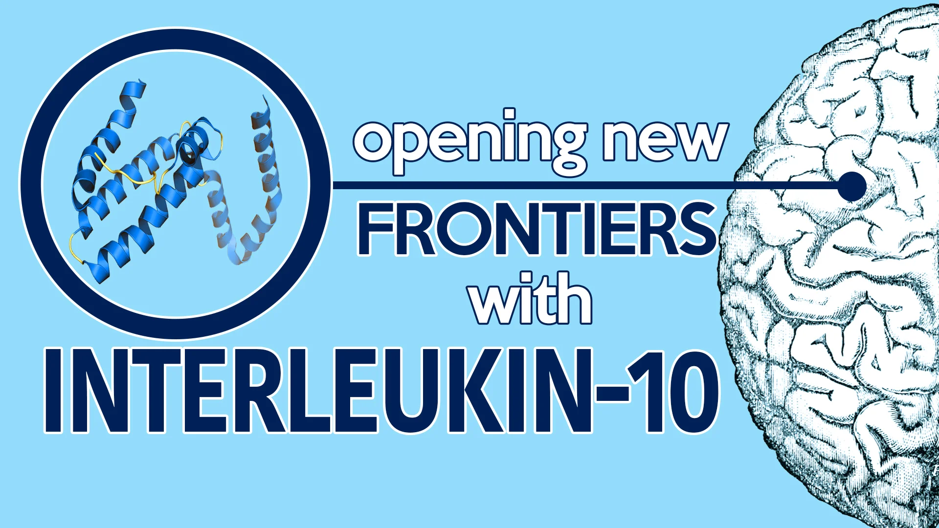 V5I4_Interleukin10.jpg