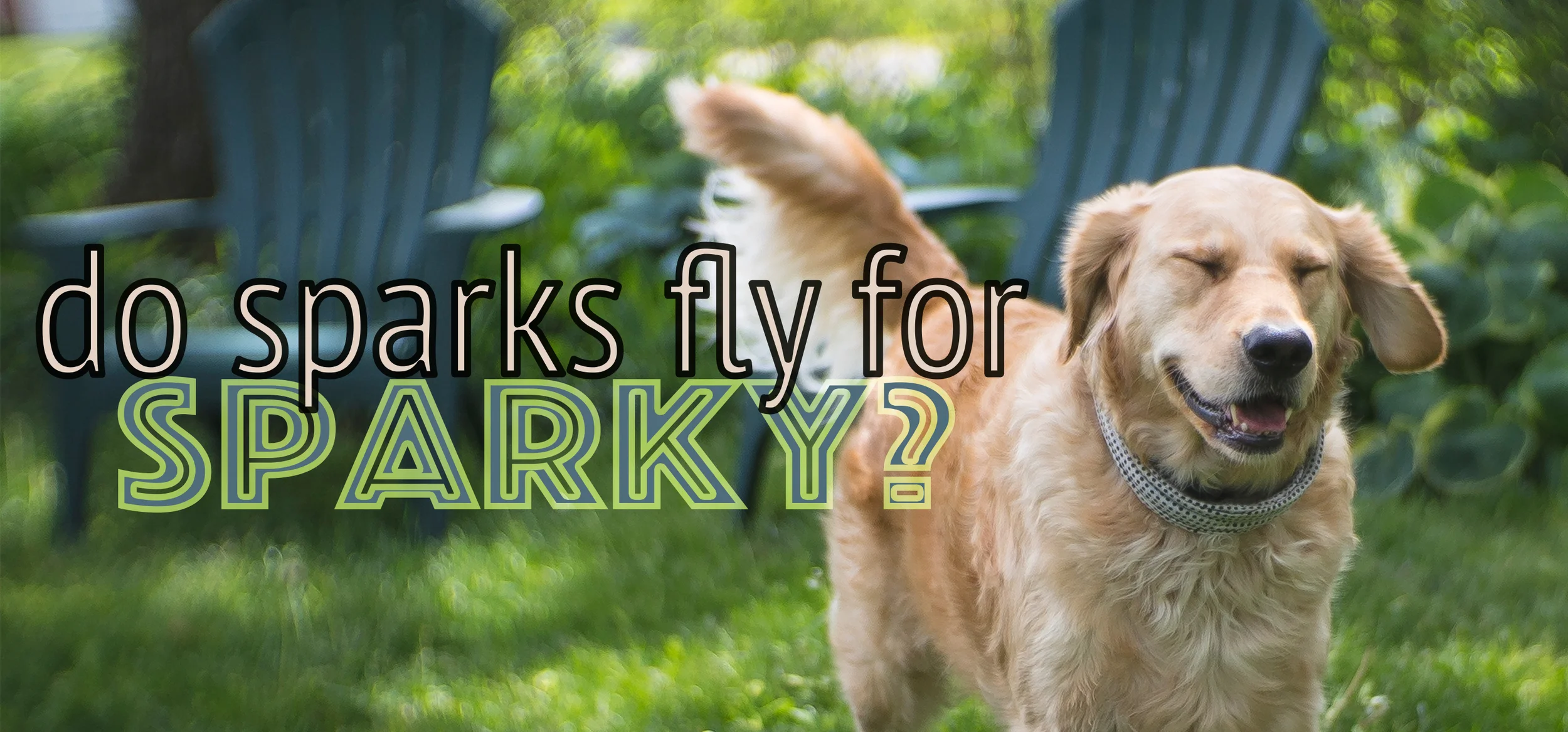 CaninePsychology_web.jpg