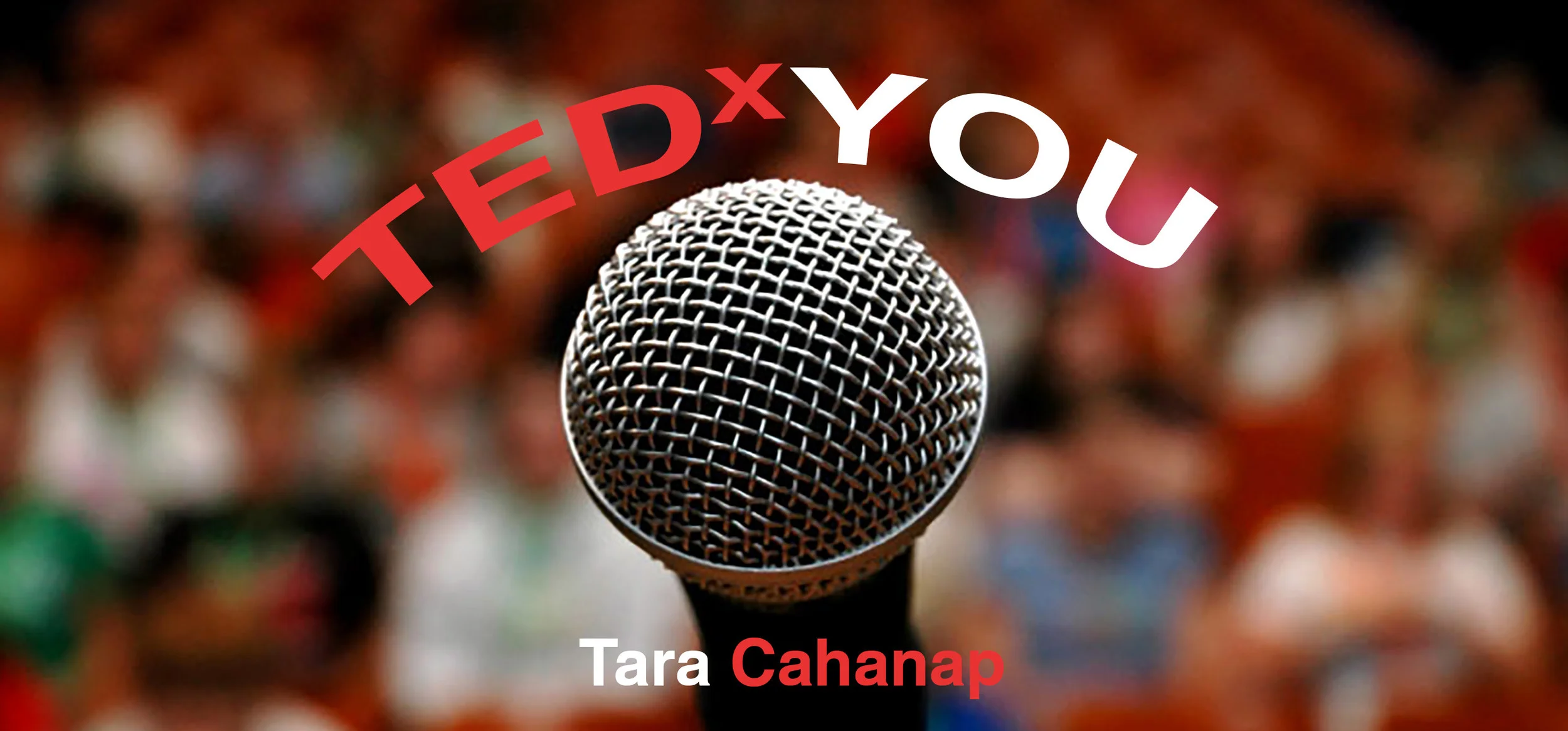 web grapic ted talk.jpg