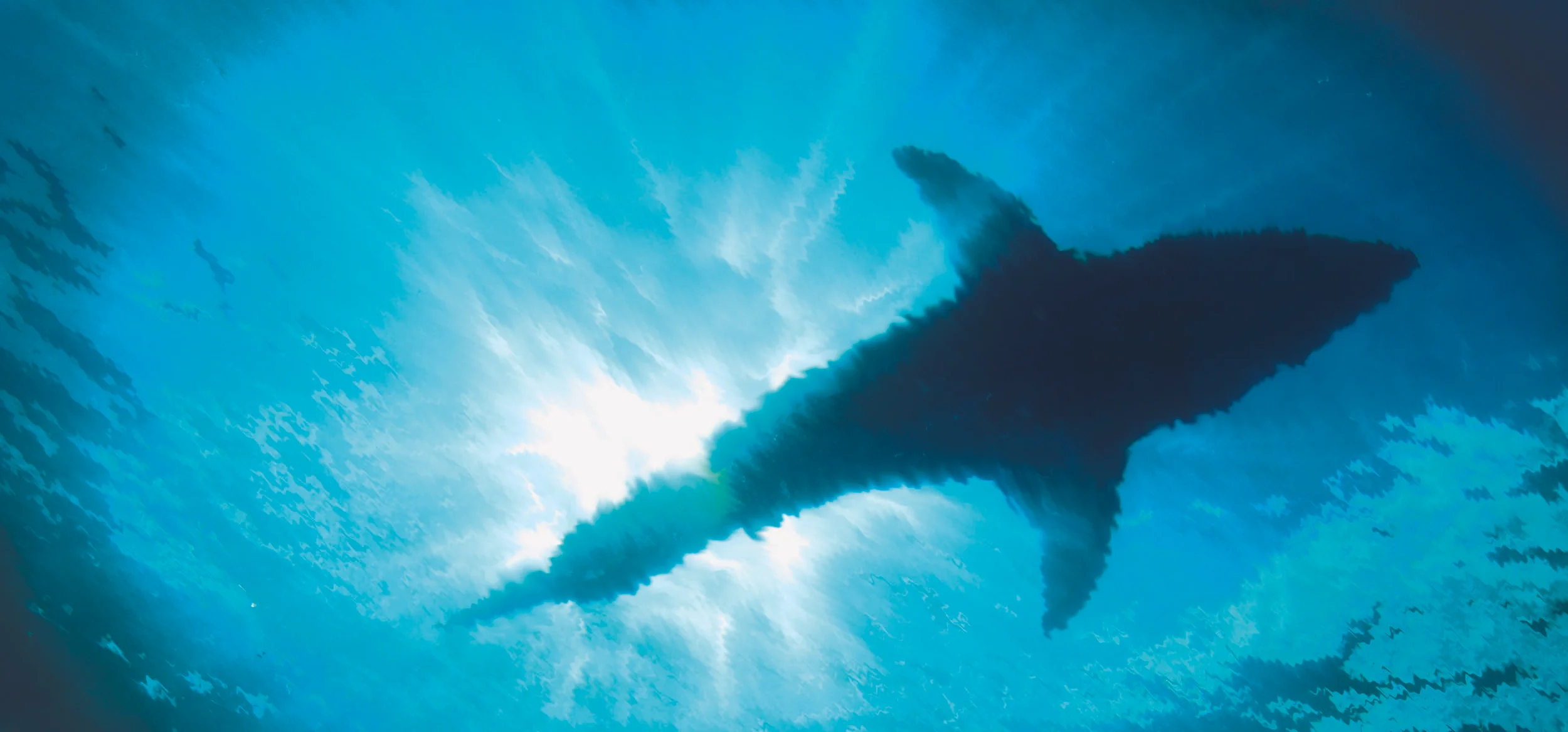 shark.jpg