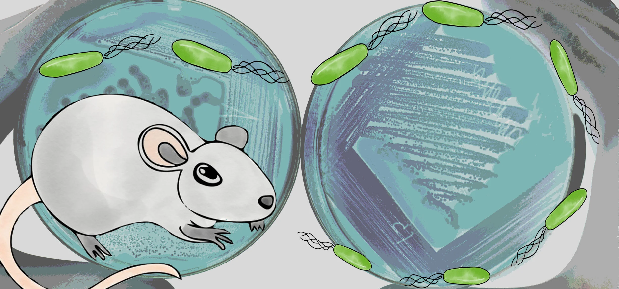 Mice and Microbes.jpg