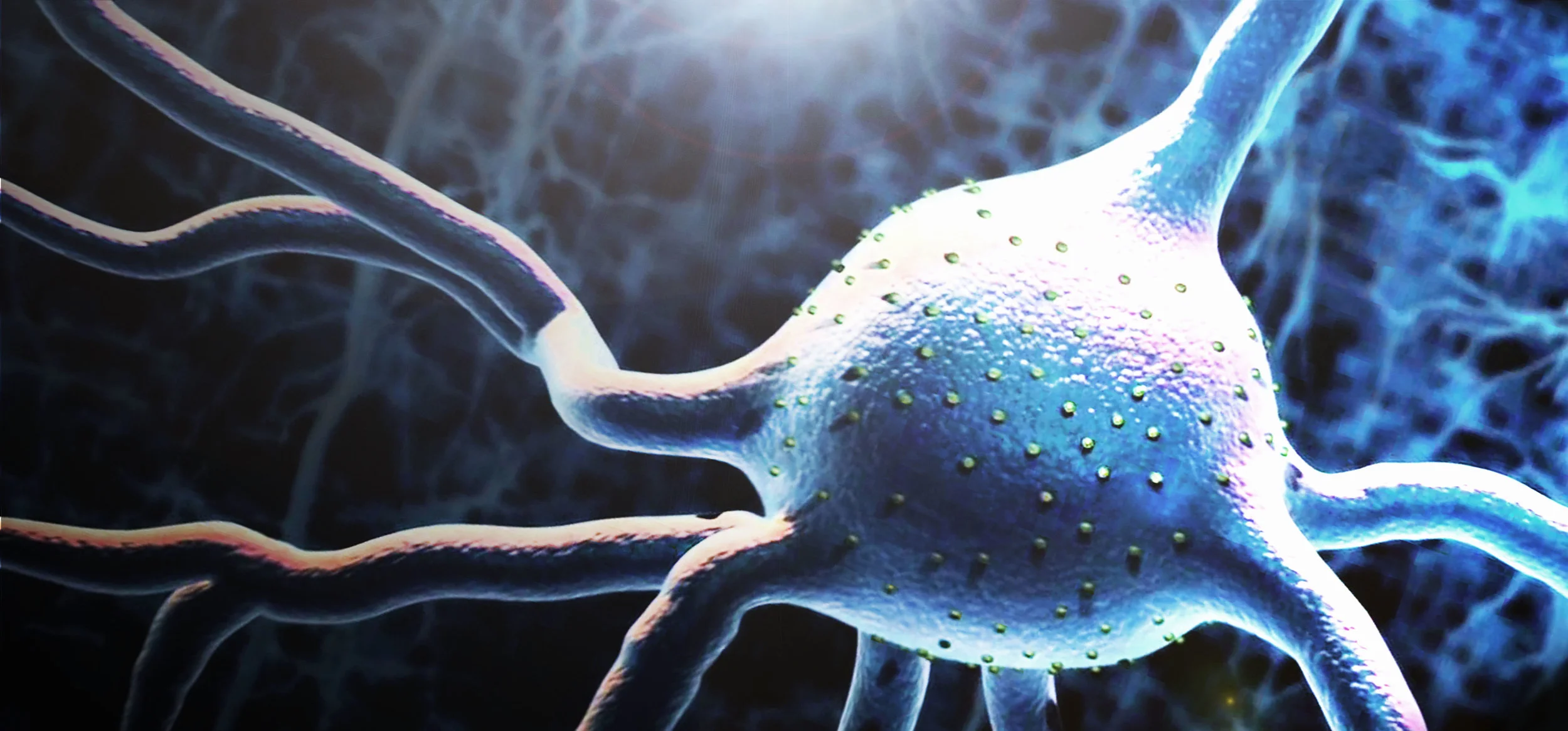 web graphic final attempt.jpg