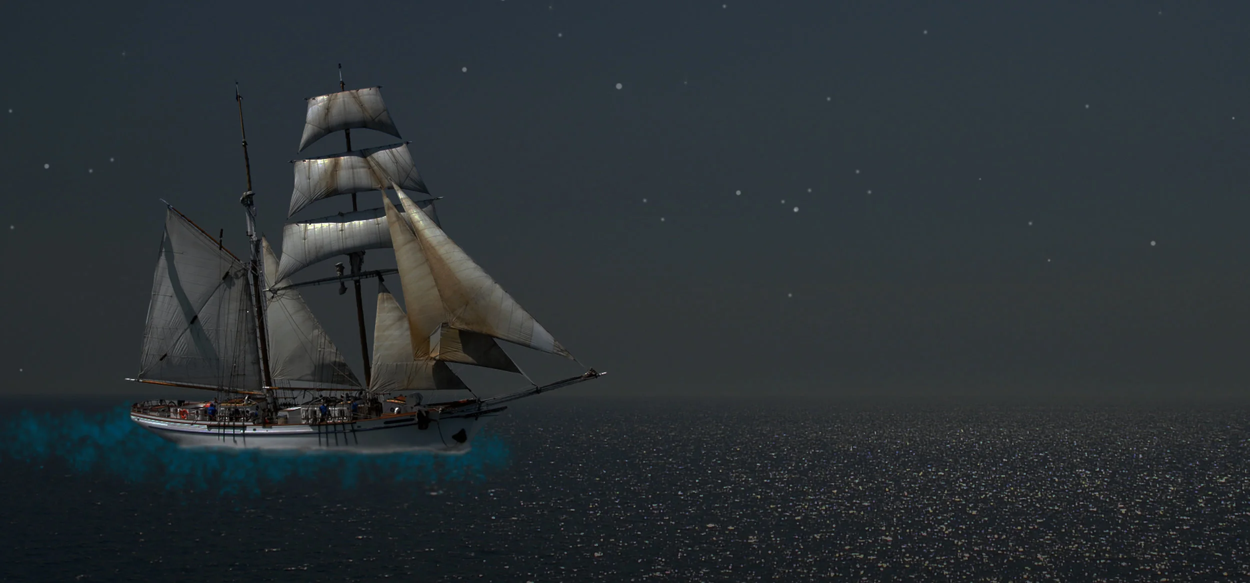 Bioluminescence Web Graphic.jpg