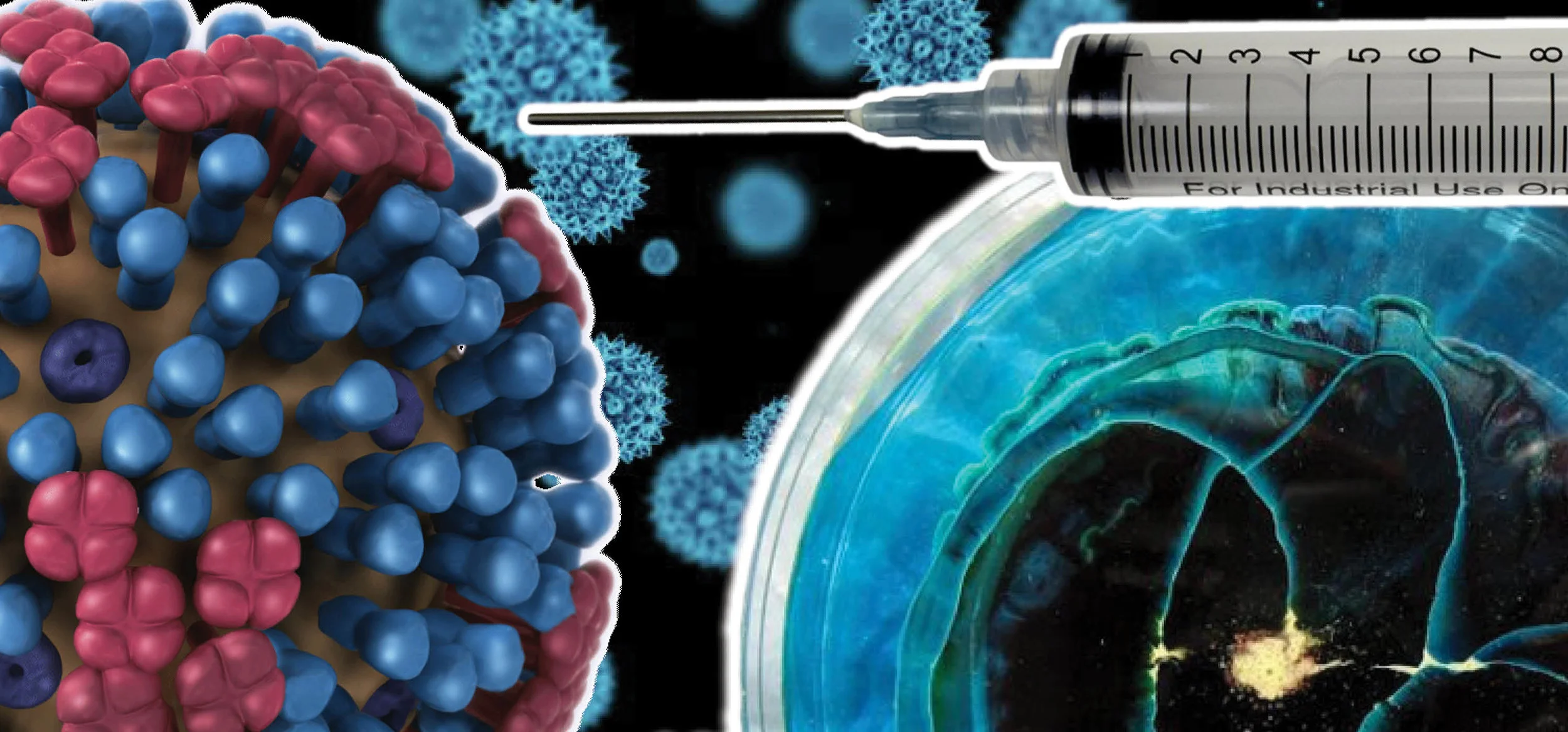Banner Virus.jpg