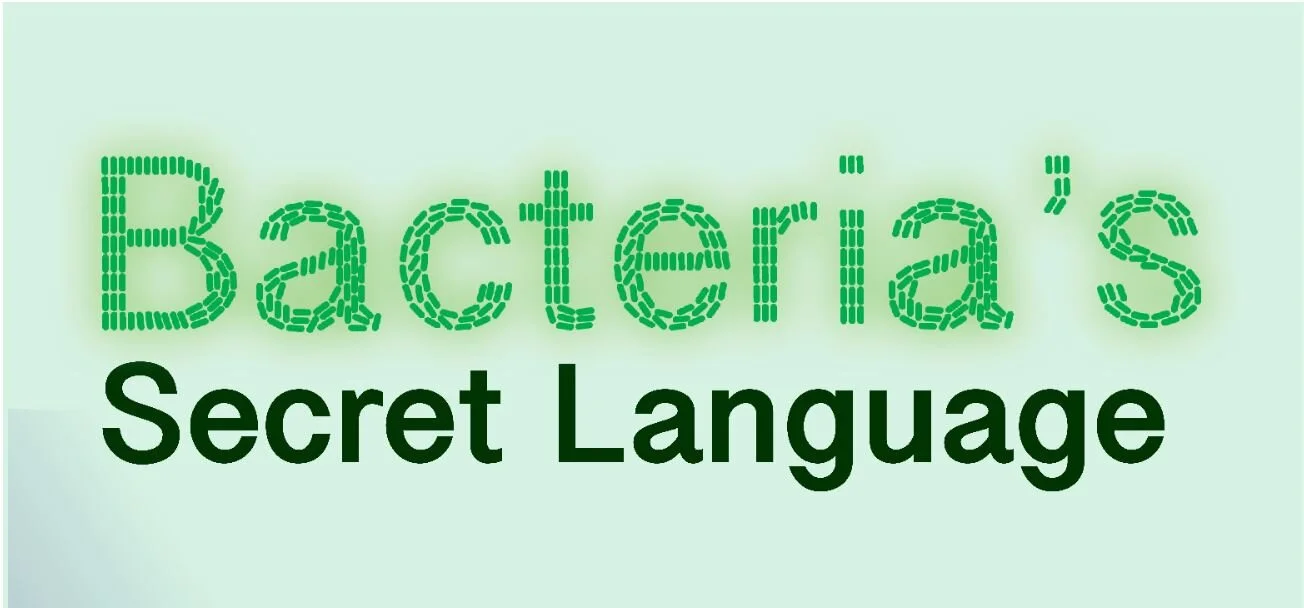 bacteria.JPG