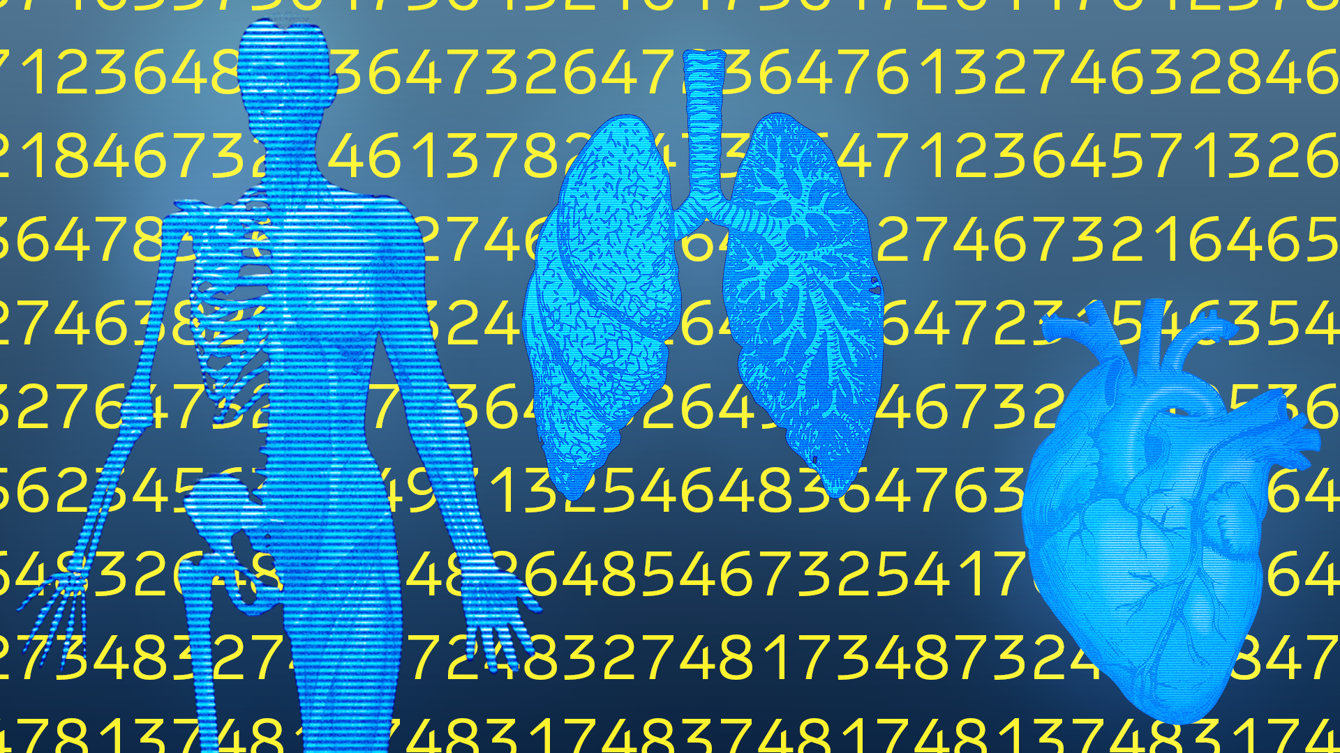 digital twin web_.png