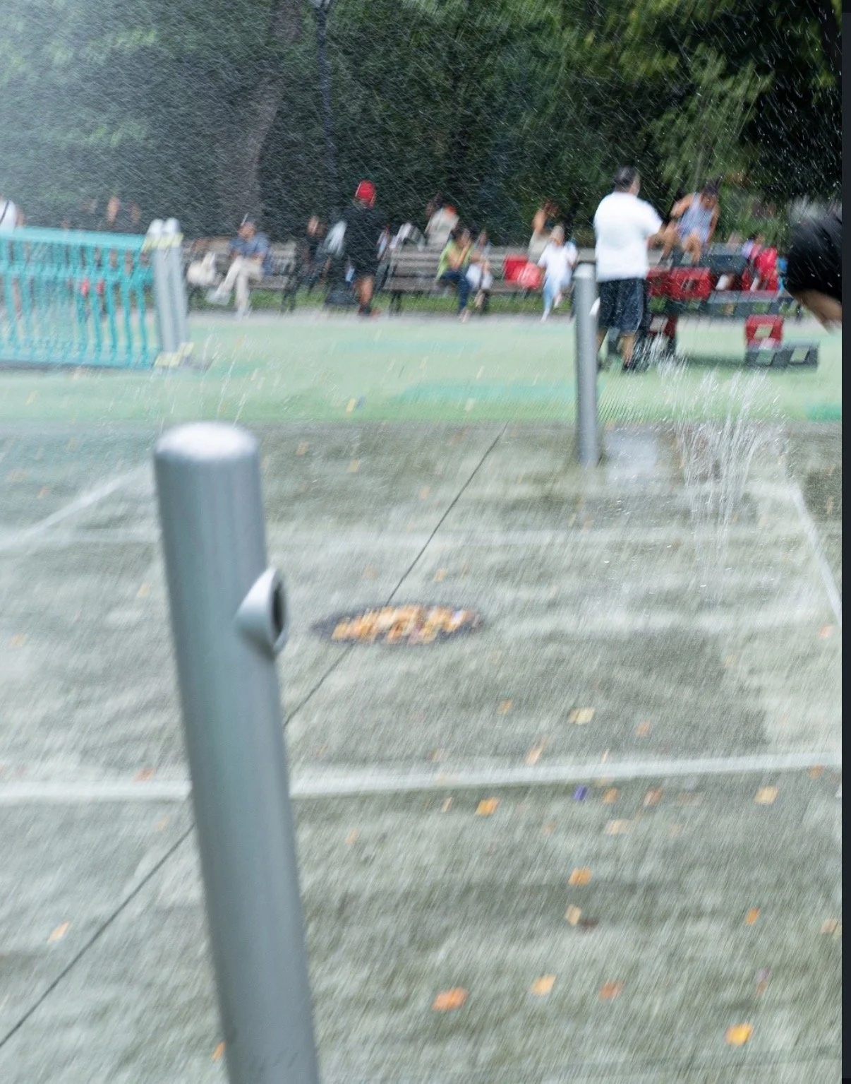 IMG_2300.jpeg