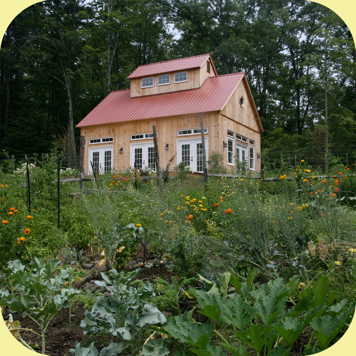 A Moolah Doula Workshop at Iris