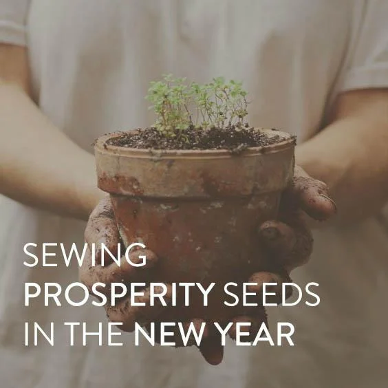 Sewing Prosperity Seeds in the New Year
