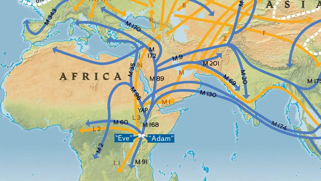 The Genographic Project