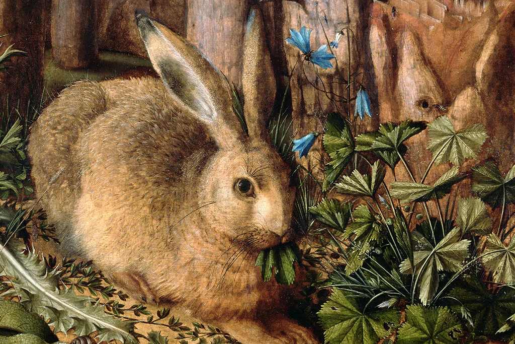 Straight from the Horse’s Mouth