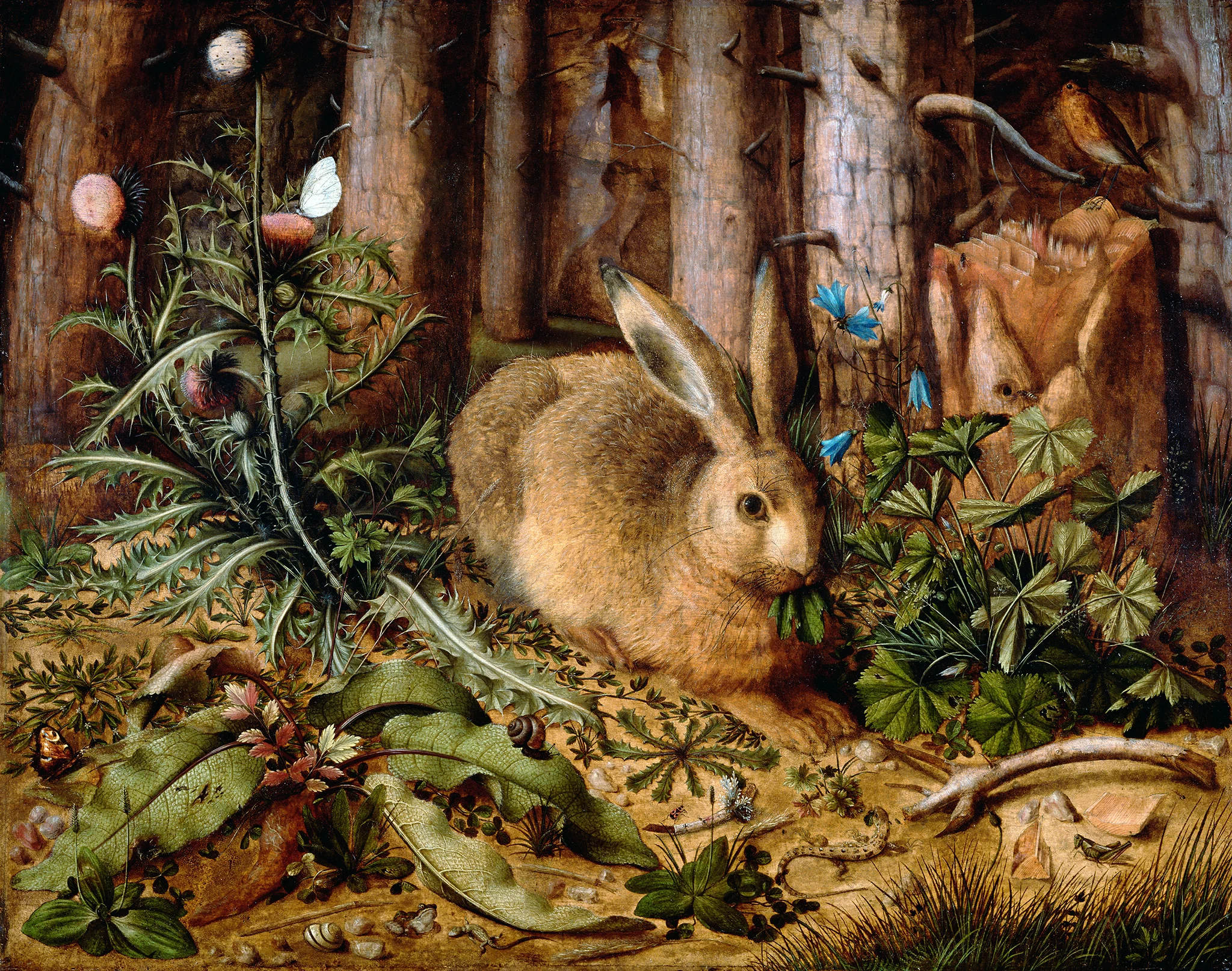 A Hare in the Forest , Hans Hoffmann, German, about 1585