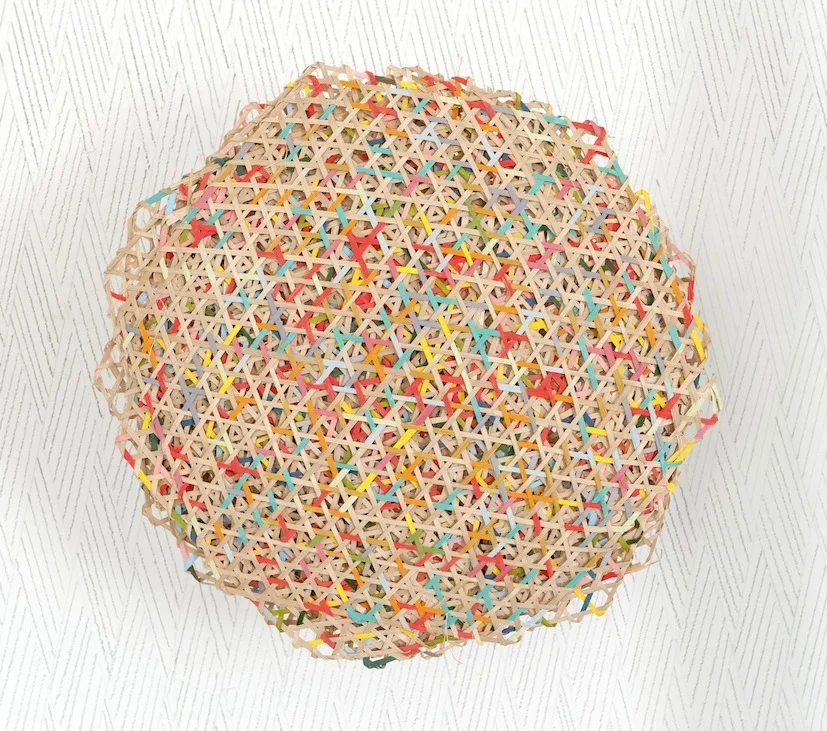  Everything, 2103 [bamboo net detail] 