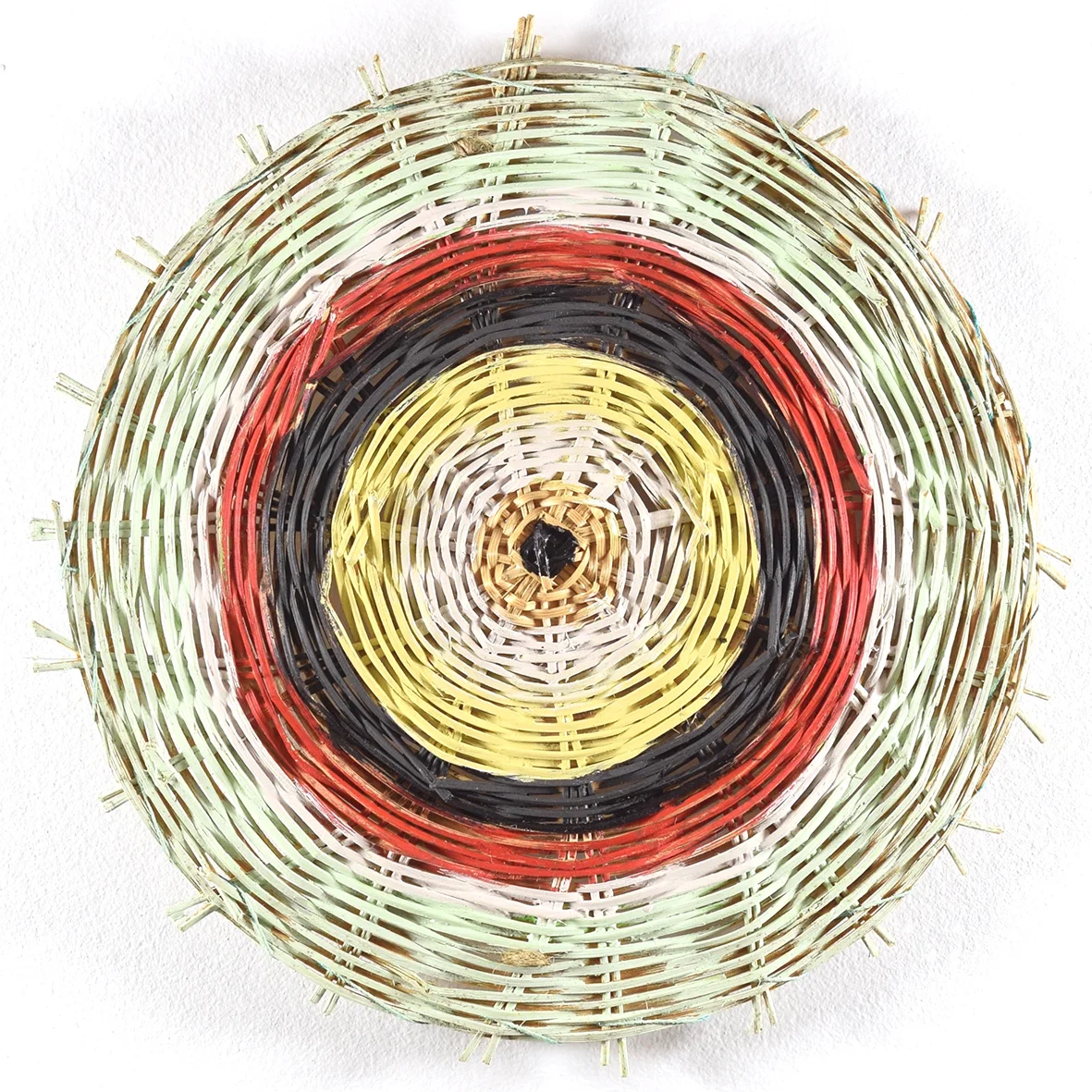 Extinct Markers, 2016 (detail) Acanthus ledwardii, dia 19cm