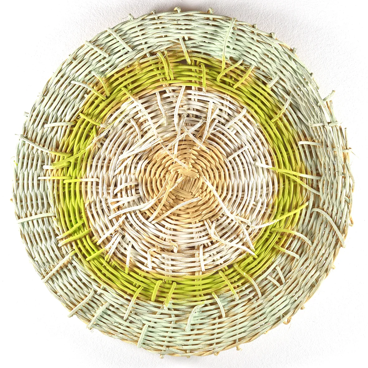 Extinct Markers, 2016 (detail) Huperzia serrata, Water Tassel-fern, dia 25cm