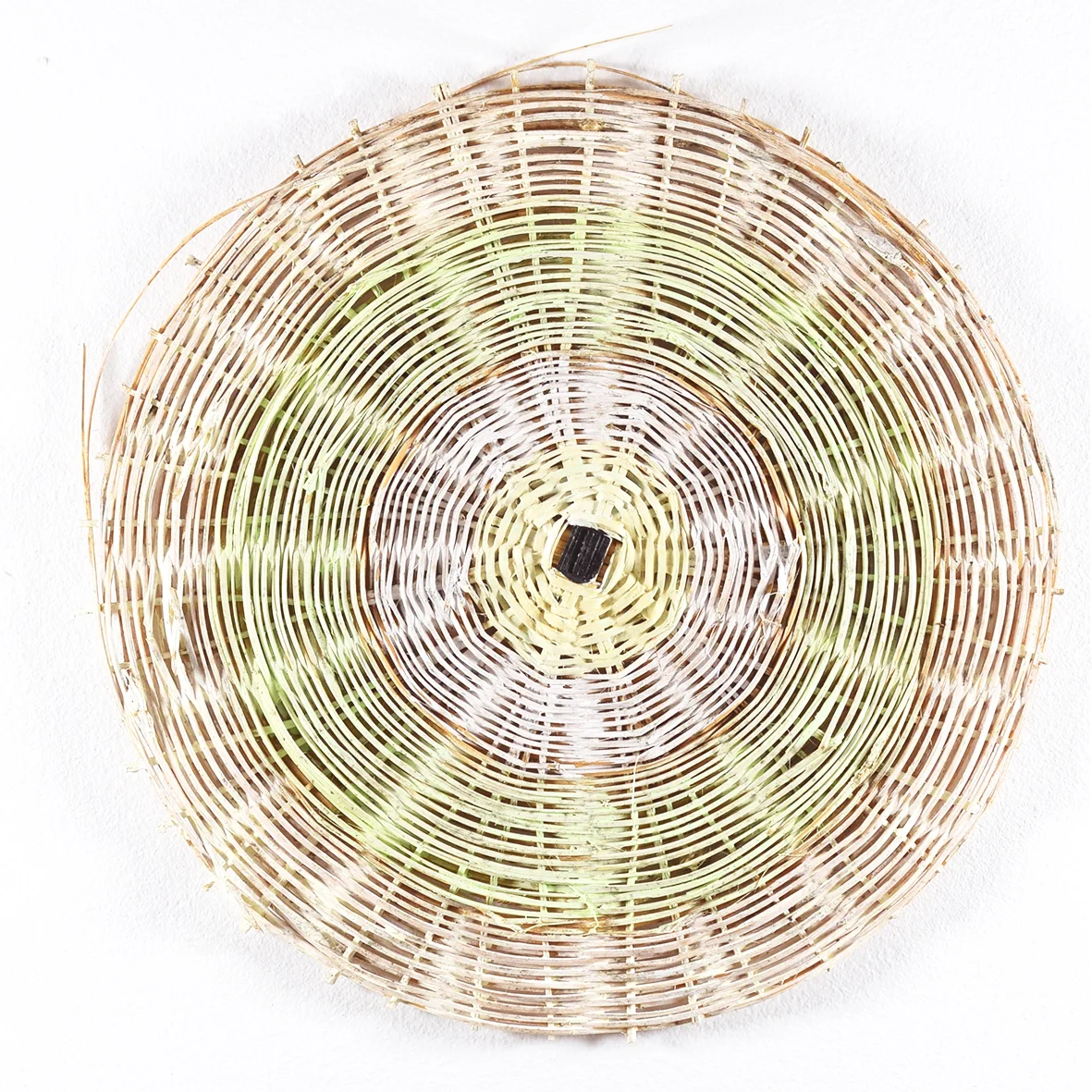 Extinct Markers, 2016 (detail) Hymenophyllum white, dia 19cm