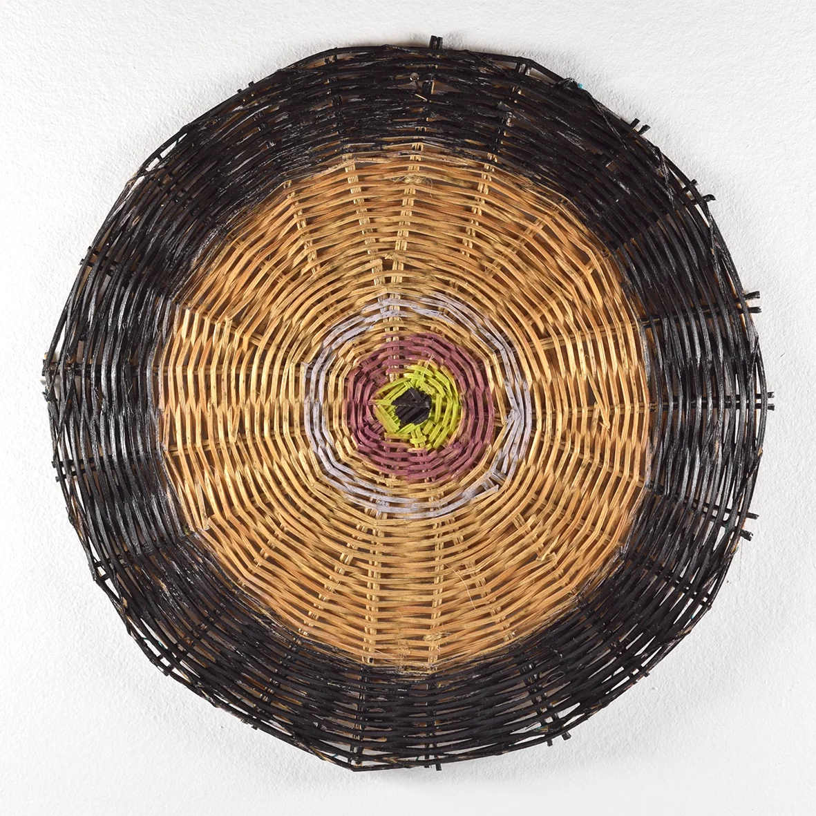 Extinct Markers, 2016 (detail) Hypsela sessiliflora, dia 20cm