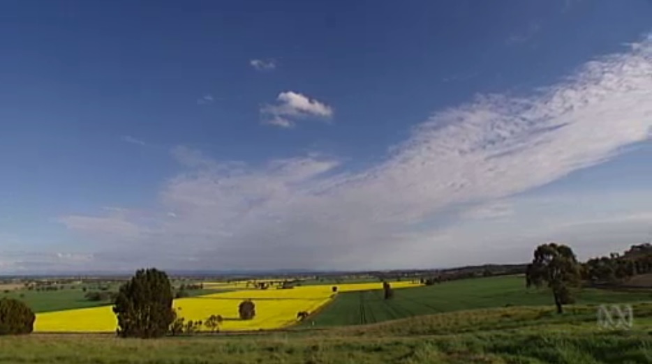 Video still courtesy of 7.30 Report
