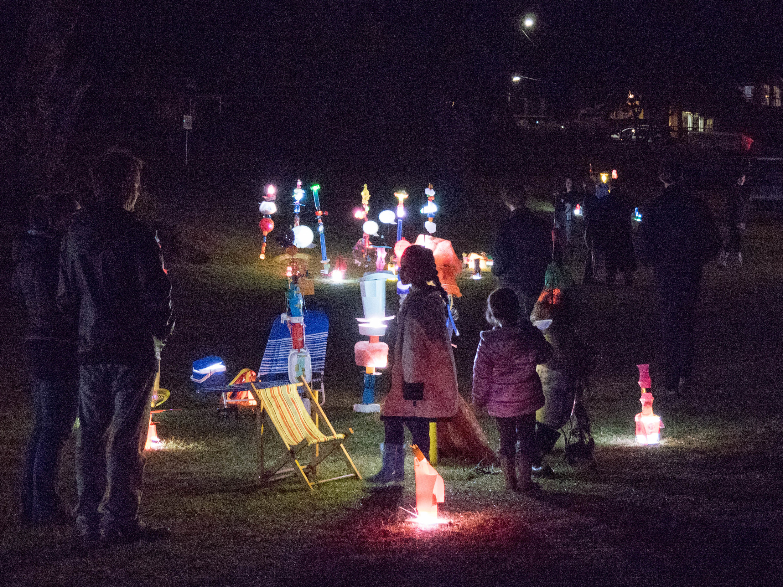 A forest of light at Coronet Bay.