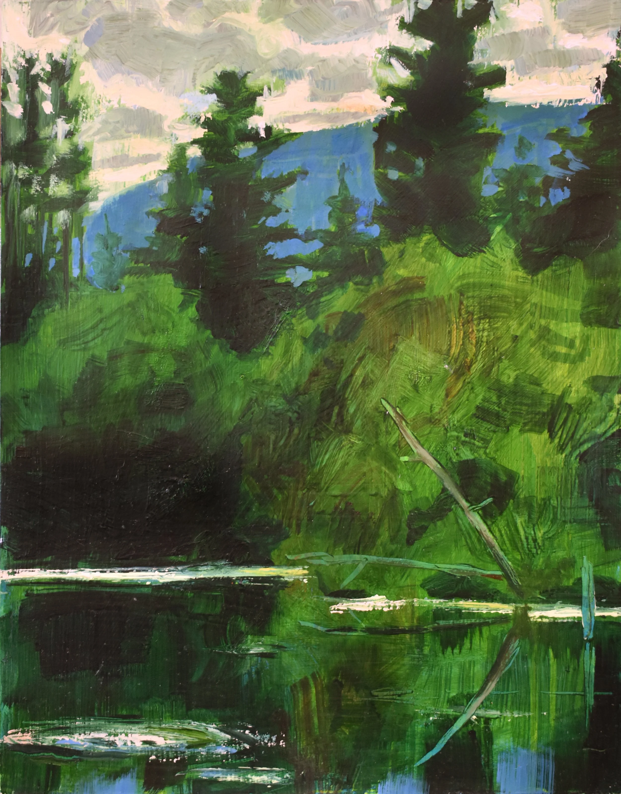 Wilderness Study (Little Kennebago) 2025