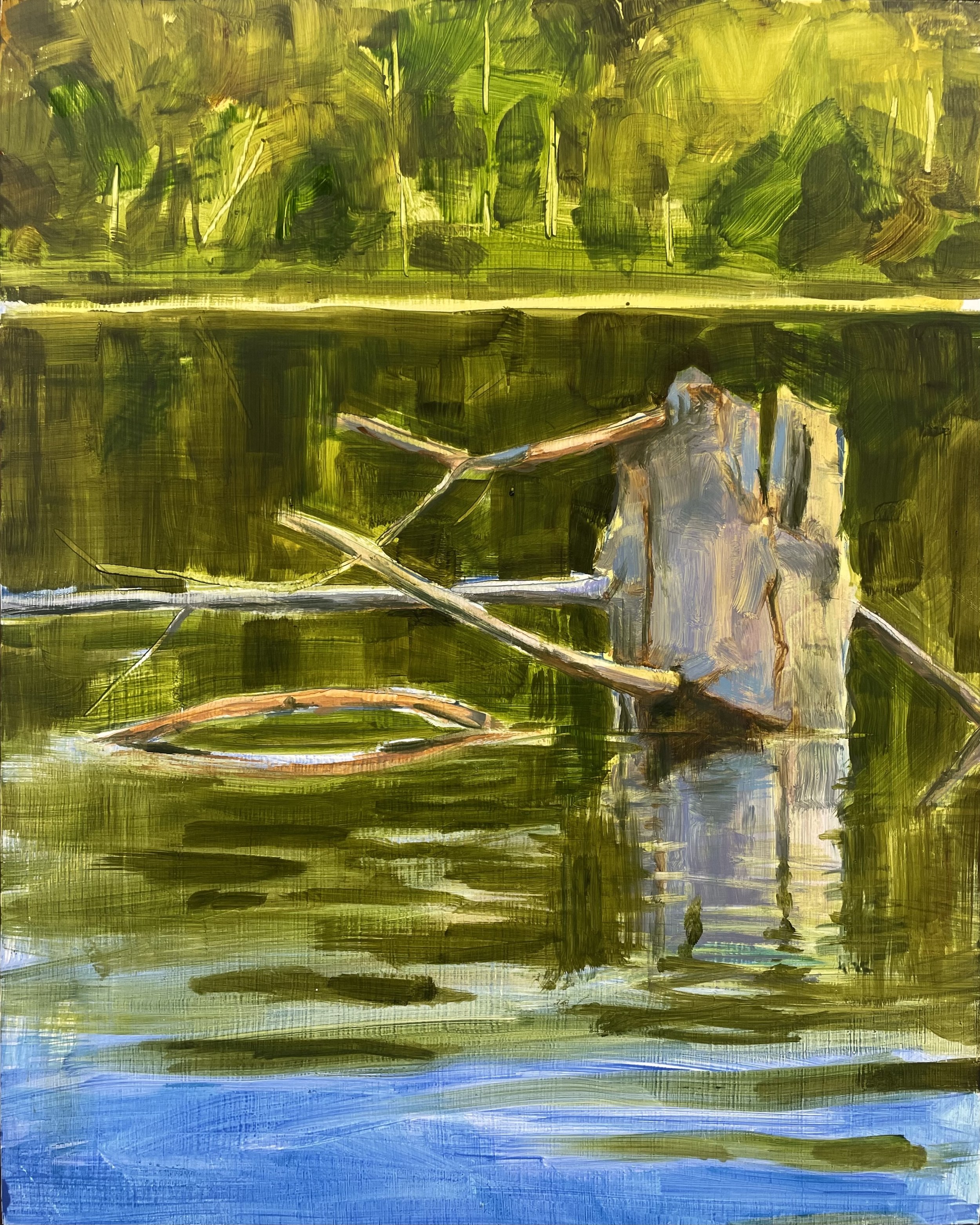 Kingfisher's Perch II (2025)