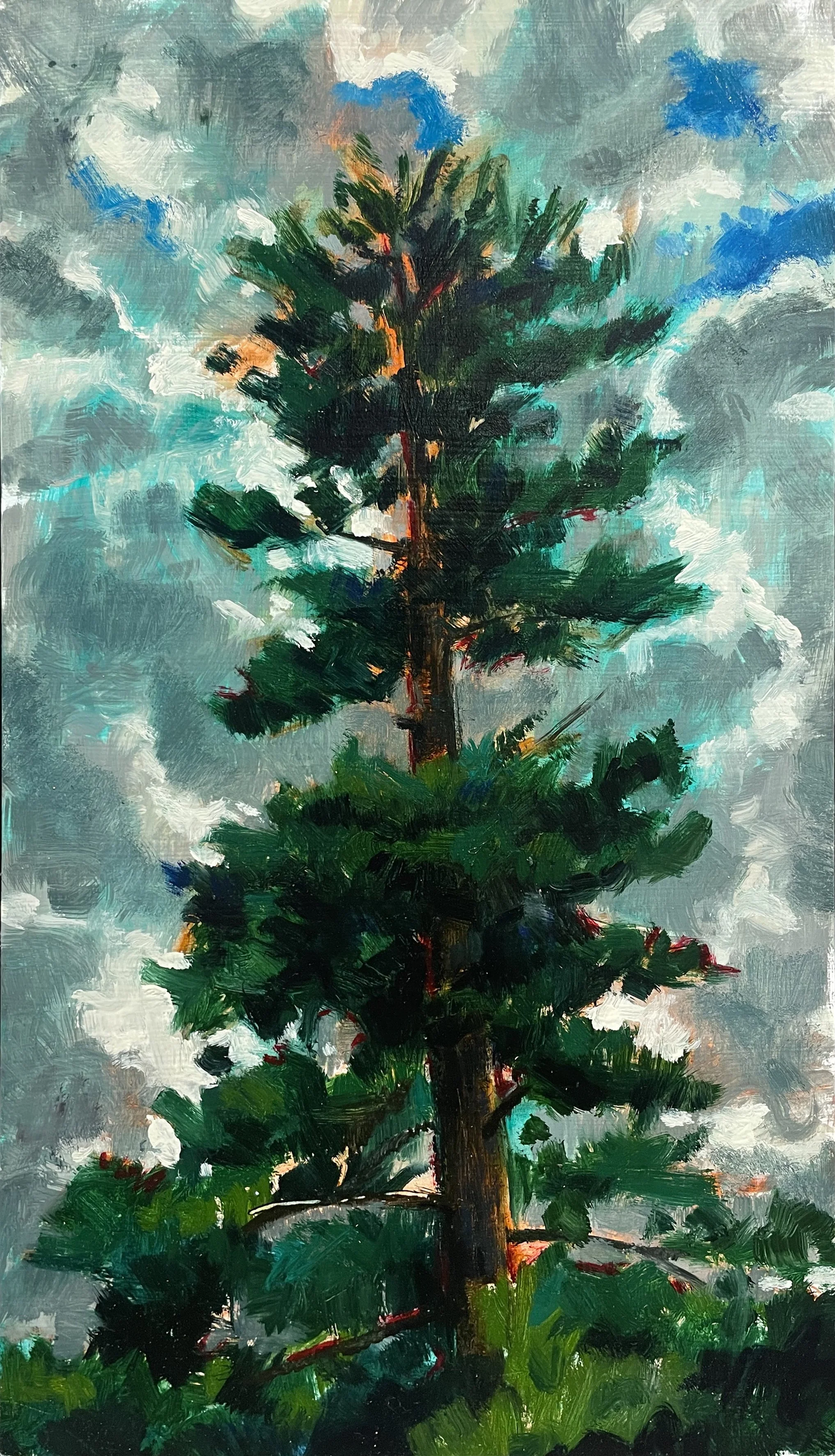 Pine Tree and Clouds (2024)