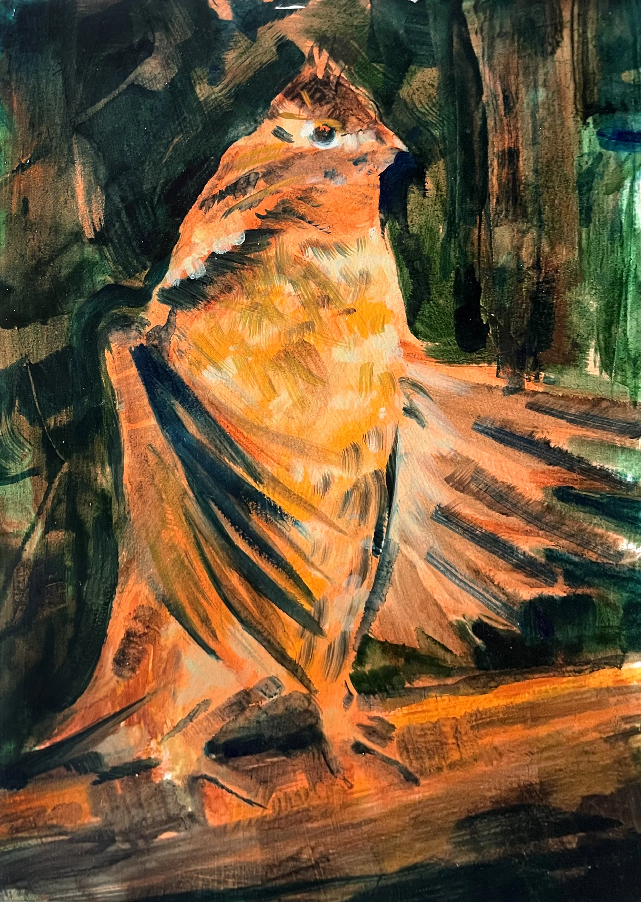 Grouse Drumming (2024)