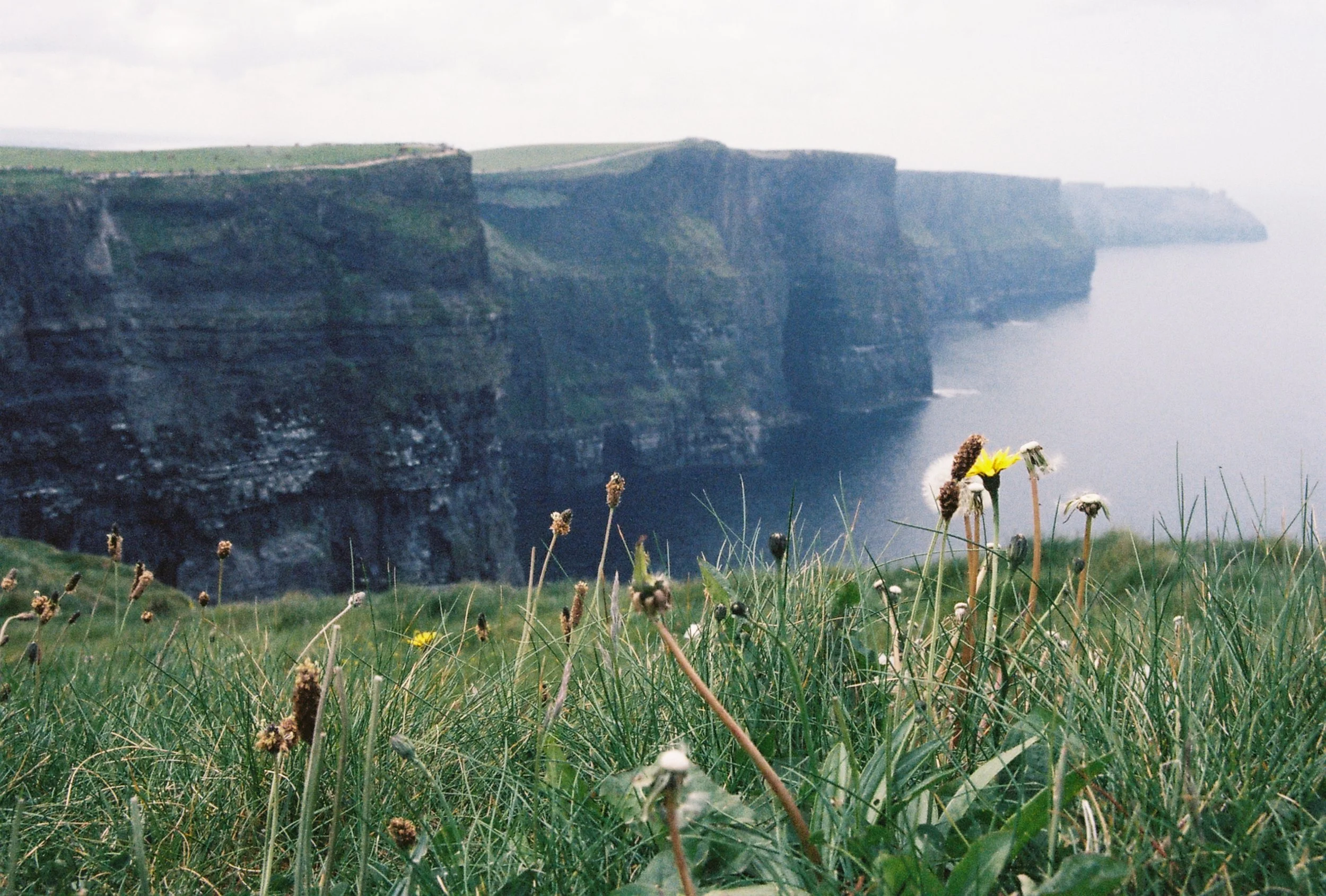 Roll1_A773013-R1-10-25 copy.JPG