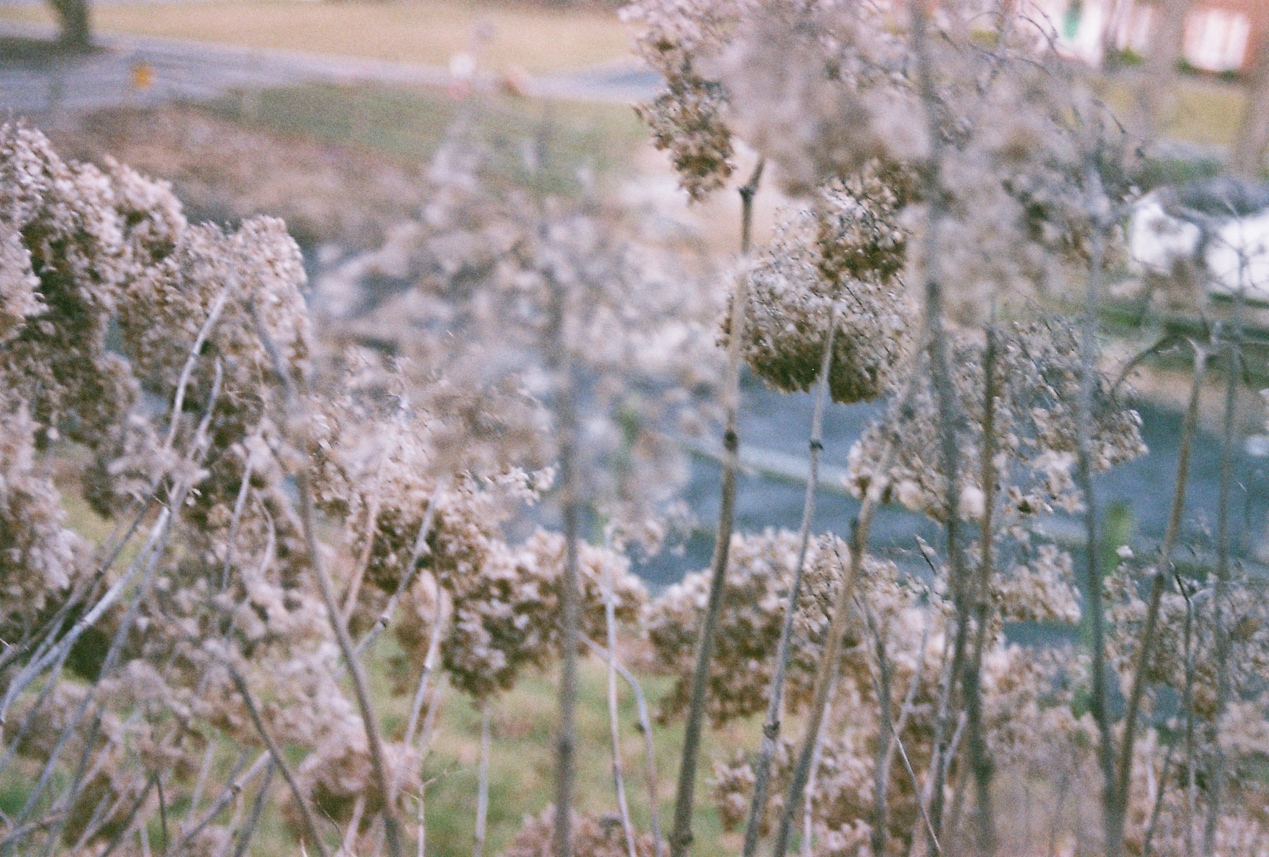 Roll1_A773012-R1-19-6A.JPG