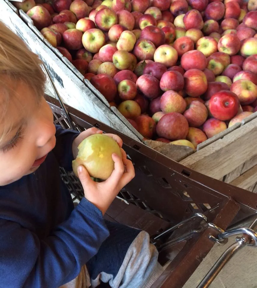 November 9, 2015 Β· Choosing locally grown apples with my main squeeze. This kid won't see a strawberry until spring. And he won't even miss it. #eatlocal