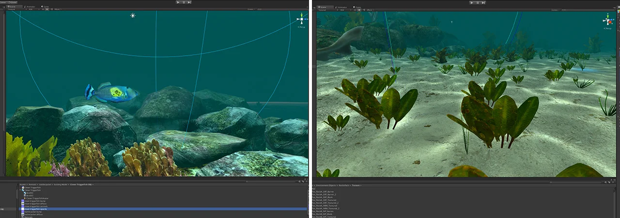 Progress shots of the dive in various stages of development in Unity 3D.