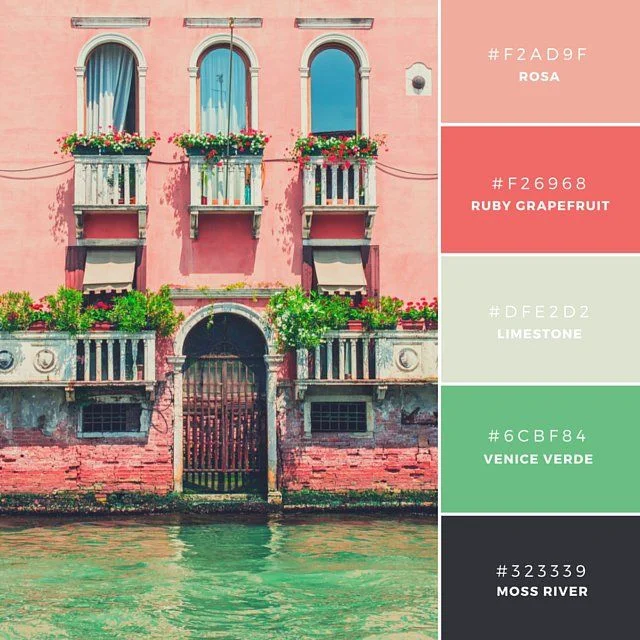 Venice Rose
