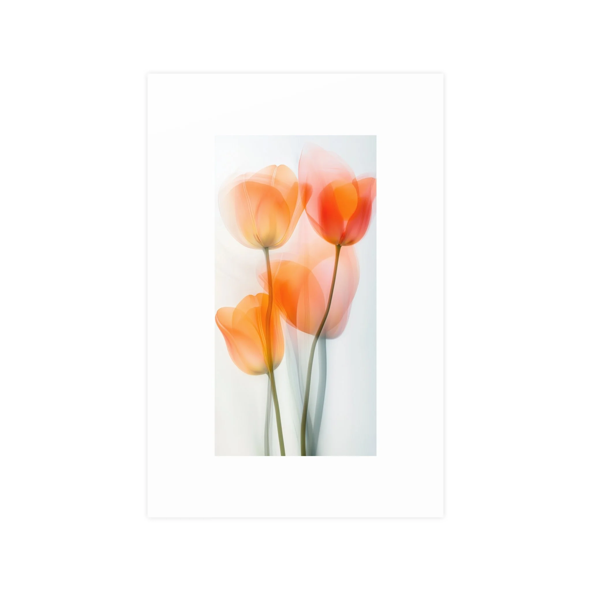 cbd3469f7064d738aaaea5a30332aadd