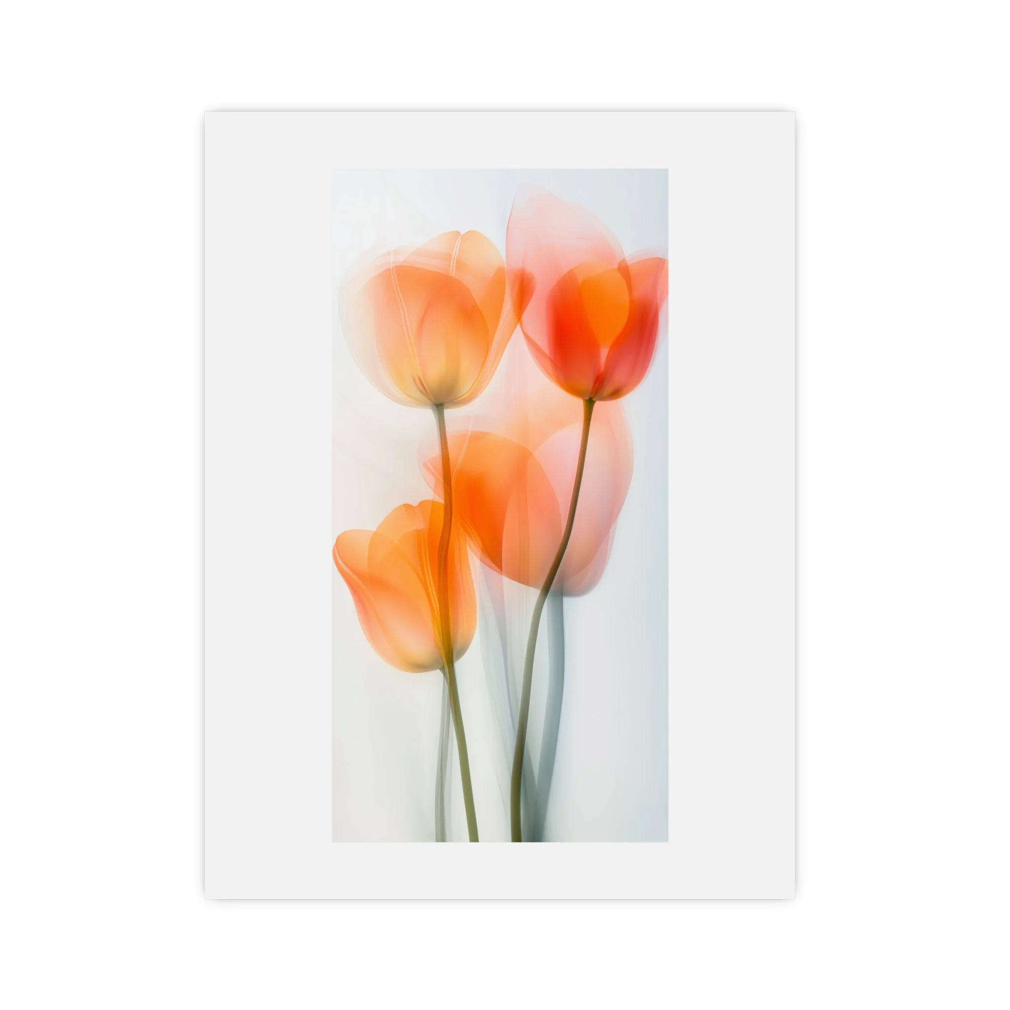 51832e8dd86bbedc91e843b4669000bb