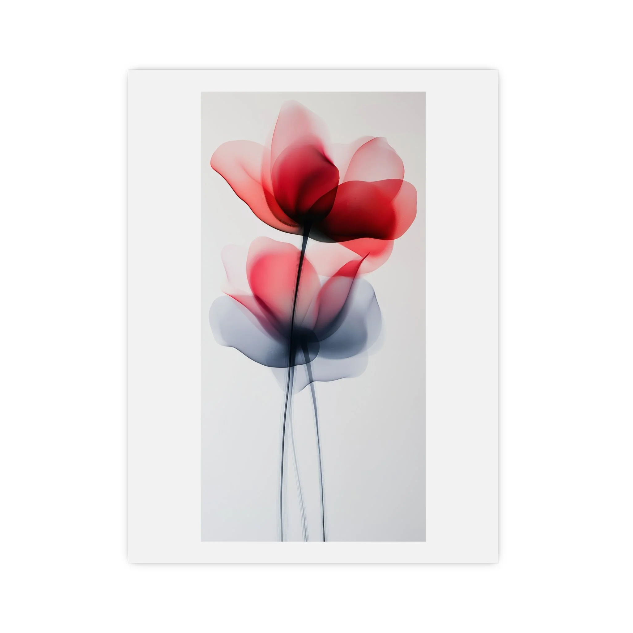 a43917dc0aa701b720ececf090a57855