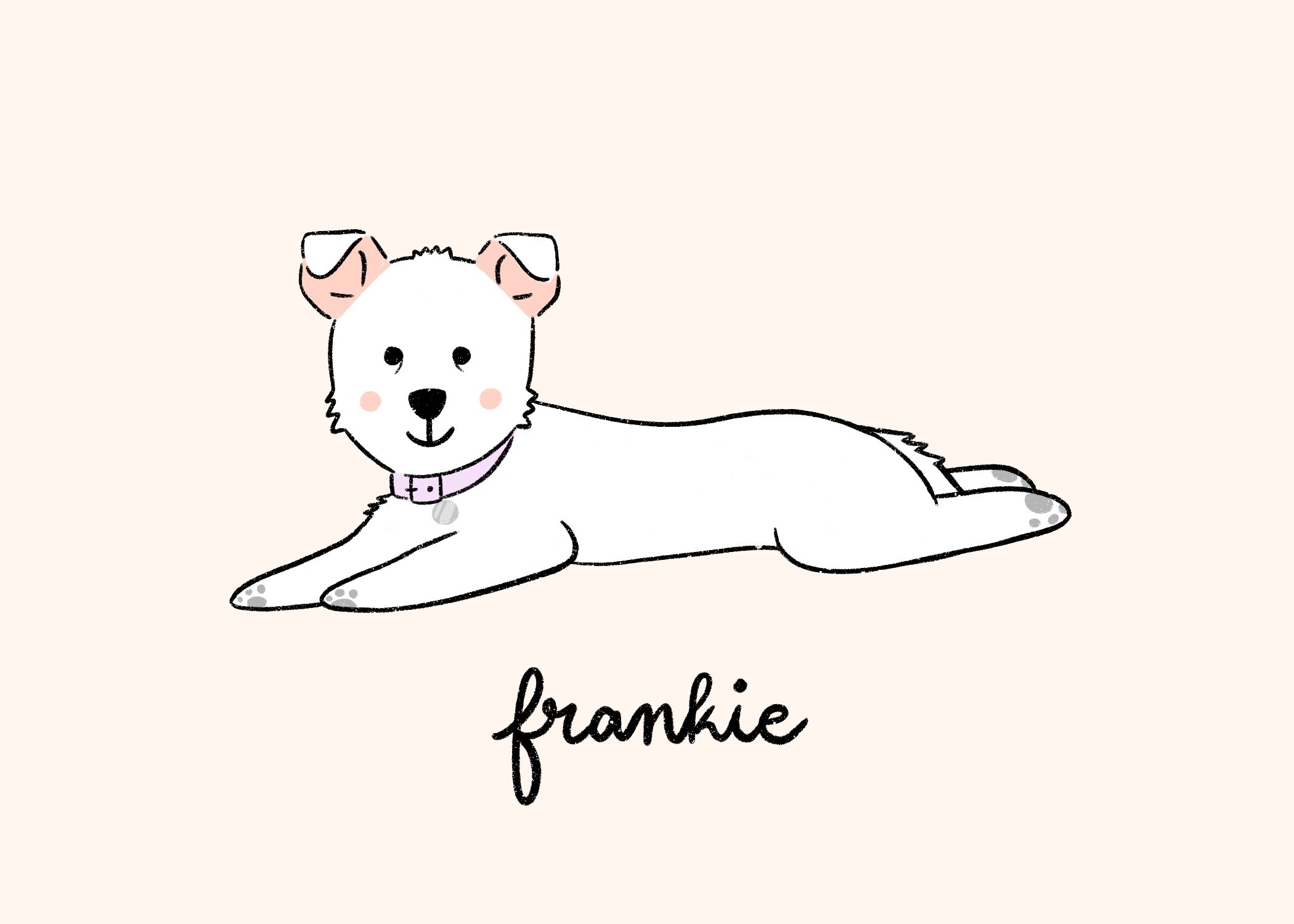 Frankie for Marisa.jpg