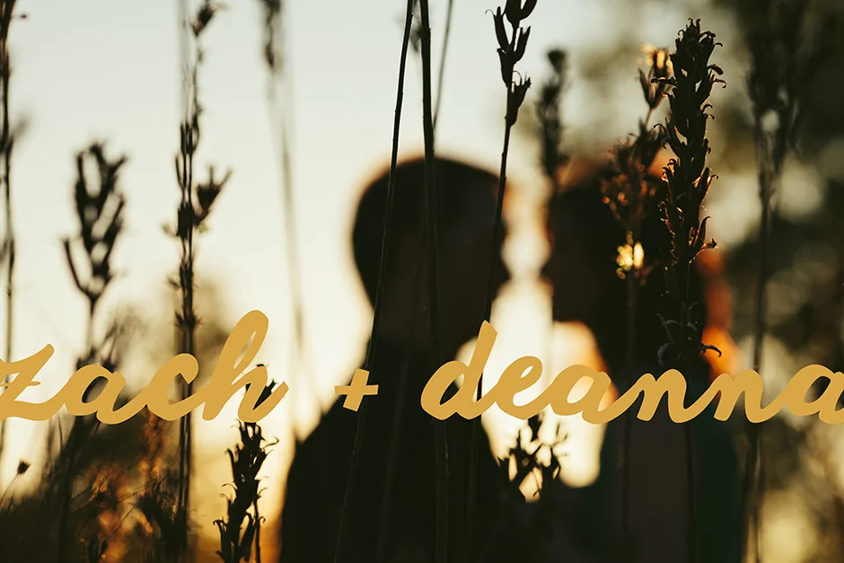 Zach & DeAnna // Kalamazoo Engagement Photographer 