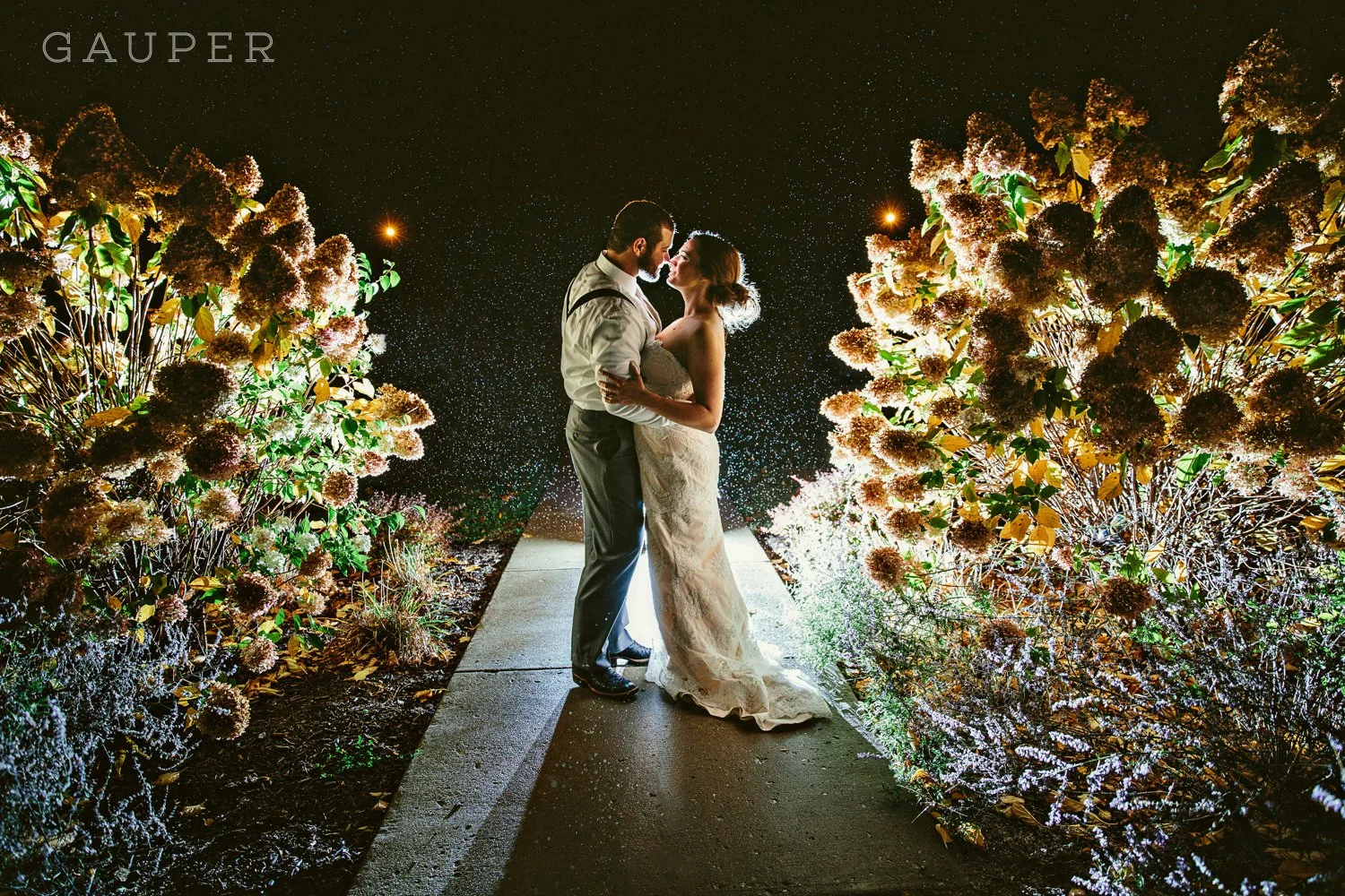 Brittney & Nick // South Bend Wedding Photographer