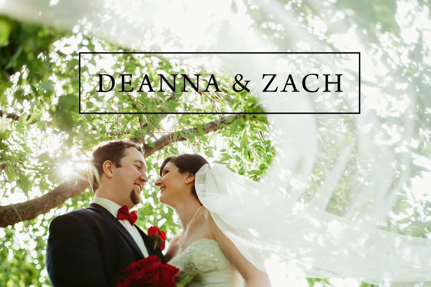 DeAnna & Zach // Kalamazoo Wedding Photographer 